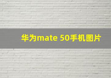 华为mate 50手机图片